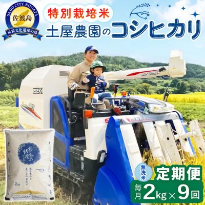 ふるさと納税 佐渡市 【毎月定期便】佐渡島産コシヒカリ 無洗米2kg 土屋農園 農家直送 特別栽培米　全9回