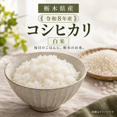 【ふるさと納税】【令和8年産】栃木県産 コシヒカリ 白米 10kg(5kg×2袋)【2000205】