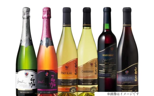 ワイン 高畠ワイナリー バラエティ 辛口 6本 セット [高畠ワイナリー 山形県 高畠町 tk06ays730006]  高畠ワイン 赤 白 スパークリング ワイン 酒 飲み比べ