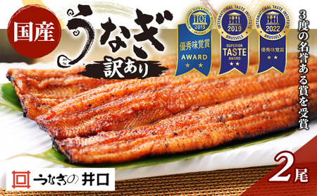 うなぎ 訳あり 不揃い 3度受賞 蒲焼き 2尾 国産 井口 うなぎ