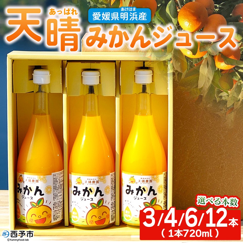 
                  ＜愛媛県明浜産 天晴みかんジュース 720ml×3/4/6/12本セット＞ 蜜柑 みかん ミカン 果物 オレンジ 果汁 ジューシー フルーツ 温州みかん 飲料 ジュース 飲み物 セット 濃厚 株式会社笑丸 特産品 愛媛県 西予市 【常温】 『1か月以内に順次出荷予定』
                
