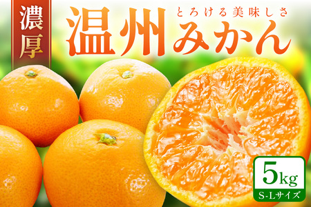 【0057-4】「濃厚な味のとろける美味しさ」温州みかん 5kg《先行予約》