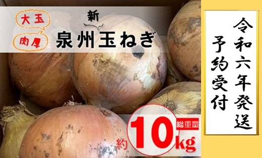 肉厚！大阪泉州新玉ねぎ10kg