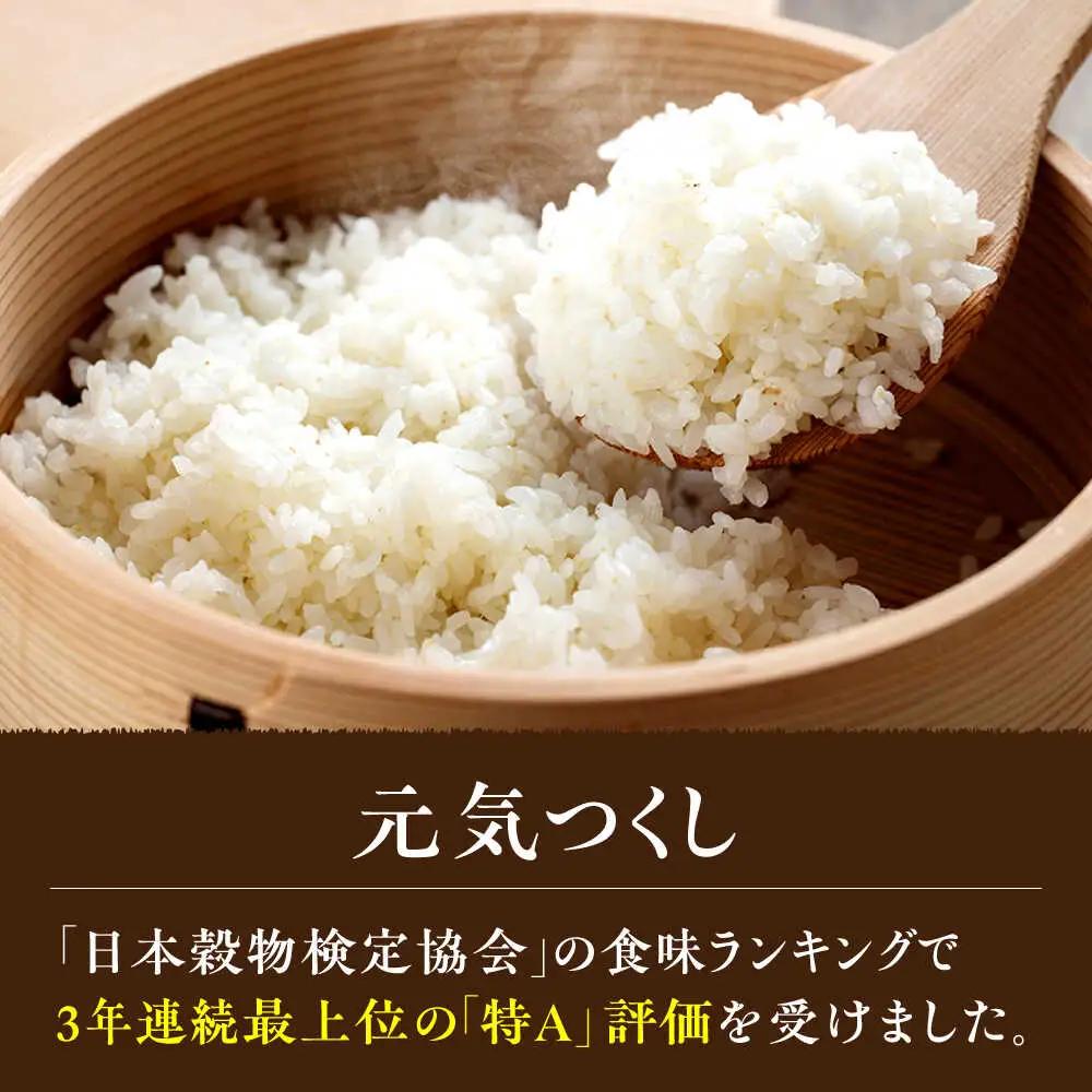 福岡県産 元気つくし 玄米 5kg×1袋 [BGAF026]元気つくし