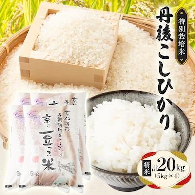 ふるさと納税 与謝野町 【令和7年産米】京都府与謝野町産 丹後コシヒカリ 精米20kg　特別栽培米 京の豆っこ米
