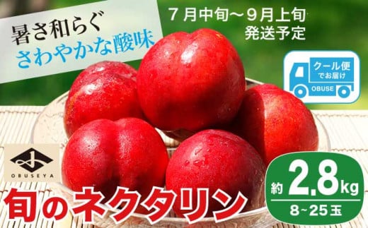 旬のネクタリン 約2.8kg 8～25玉 ［小布施屋］果物 フルーツ 桃 もも 令和6年産 【2024年7月中旬～9月上旬発送】 ［A-3］