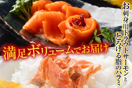 お刺身トラウトサーモン＆とろサーモンハラミセット C-09004
