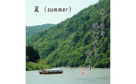 最上川舟下り 乗船チケット 1名様分 定期航路約60分(古口港→草薙港) 船頭案内 舟歌 トーク チケット 券 旅行 観光 体験 最上川 山形県 戸沢村 F7W-0119