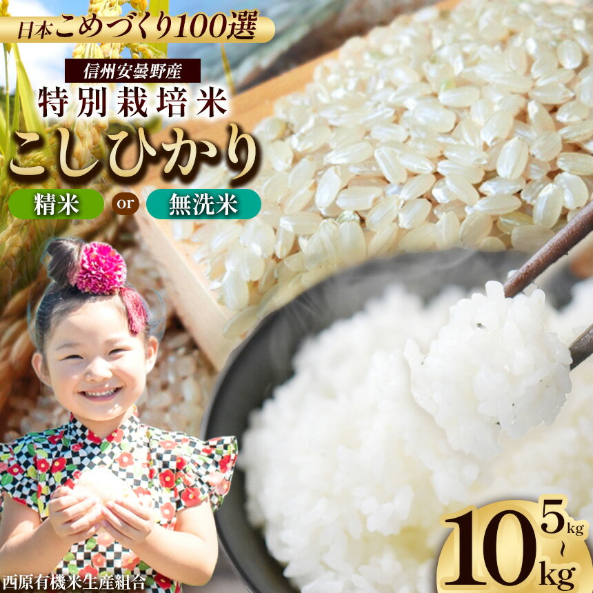 【ふるさと納税】特別栽培米 こしひかり 選べる内容量 と 精米歩合 ( 精米 / 無洗米 ) ・ ( 5kg / 10kg ) | 川久保米穀 米 こめ コメ お米 白米 はくまい 精米 無洗米 コシヒカリ こしひかり 特別栽培米 長野県 松川村 信州
