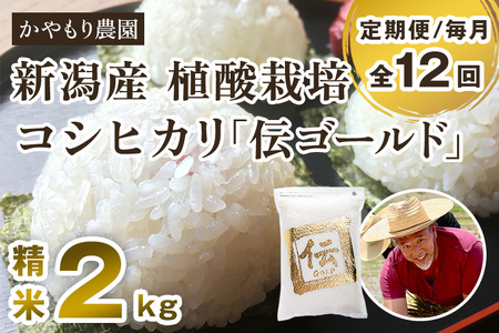 【定期便12ヶ月毎月お届け】新潟産コシヒカリ「伝ゴールド」白米真空パック 精米2kg かやもり農園