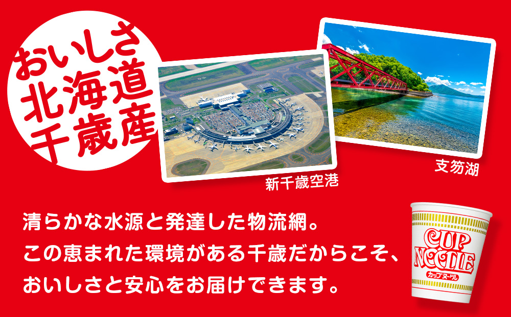 10営業日以内発送 日清 カップヌ−ドル★1箱（20食入）