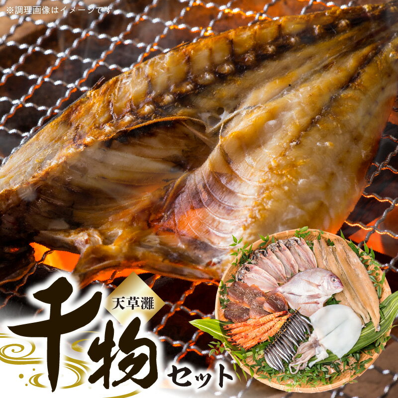 【ふるさと納税】天草灘 干物 セット 天然鯛ささ塩干し ミズイカささ塩干し アジのささ塩干し 車海老味噌漬け アジささ塩干し アジ味醂干し 太刀魚味醂干し キビナゴ丸干し 海の幸 詰め合わせ 熊本県 天草市 アマレイ お取り寄せ 送料無料
