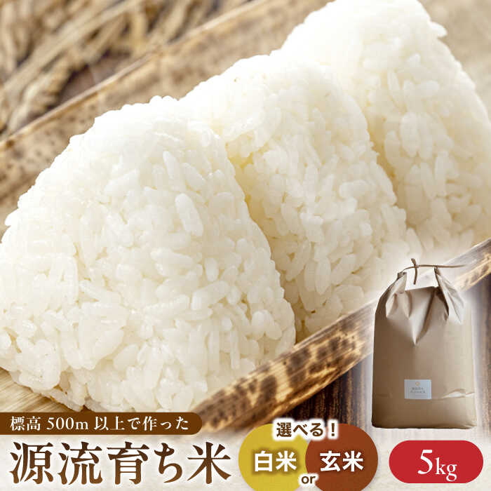 【ふるさと納税】＜新米 予約＞ R7年度産 お山の お米 5kg 白米 玄米 選べる 国産 岐阜 白川町 / Sunpo [AWBC007]