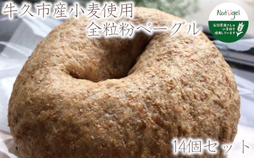 
牛久市産 小麦 全粒粉 100％ の ベーグル 14個セット 甘い おいしい 美味しい スイーツ おうちカフェ お菓子 おやつ グルメ お取り寄せ 詰め合わせ セット お土産 贈り物 お祝い ギフト プチギフト 国産 茨城 パン
