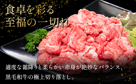 国産 黒毛和牛 阿波牛 赤身 切り落とし 1kg （500g×2P） 牛肉 切り落し 赤身 もも バラ A4 A5 等級 しゃぶしゃぶ すき焼き 炒め物 料理 おかず ごはん 