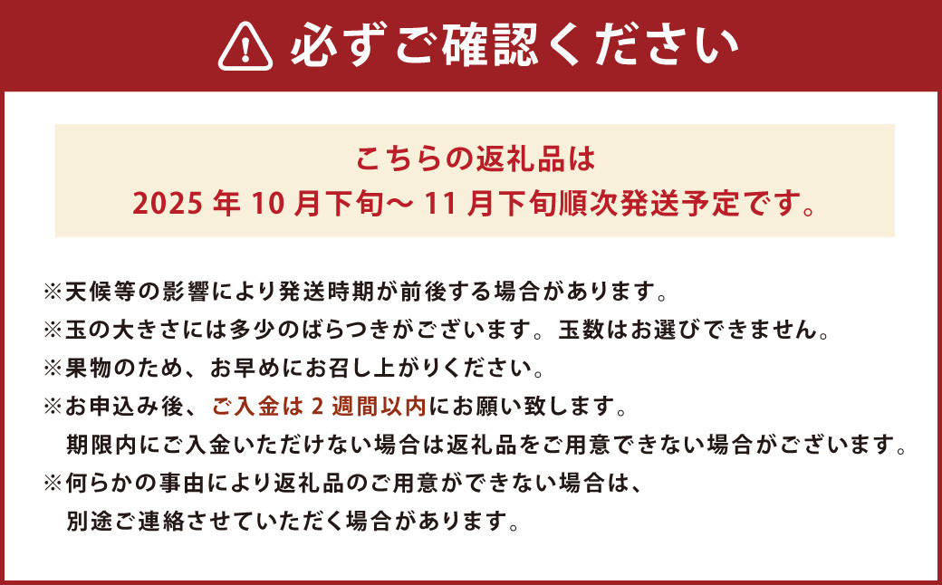 福岡県産ブランド柿・秋王 約1.5kg （4-6玉） 柿 カキ かき くだもの