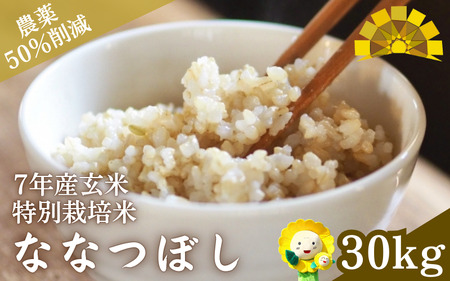 【令和7年産特別栽培米】玄米 ななつぼし 30kg【kja400-nana-gt30-R7】