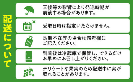 【先行予約・9月以降順次発送】シャインマスカット 1箱 (600g〜700g×2房) 日田市 / JAおおいた [AREW005]