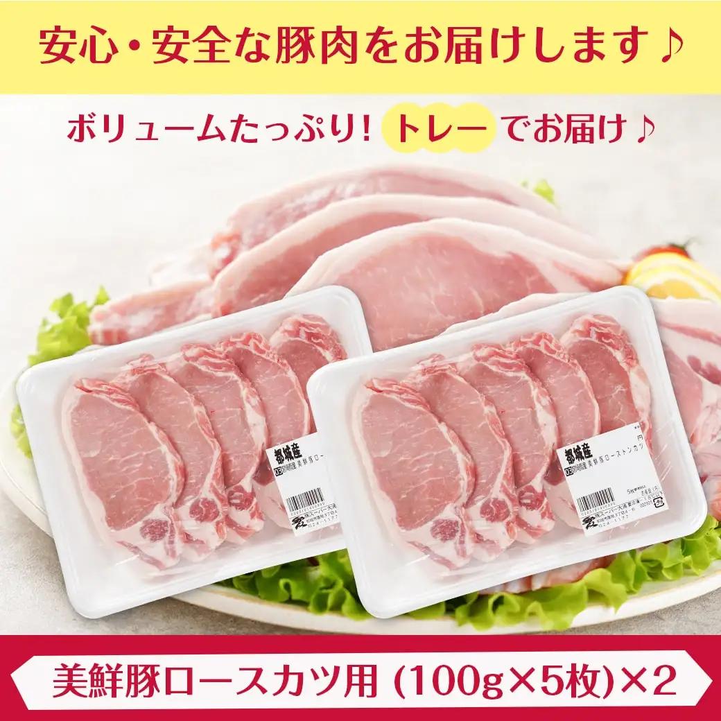 都城美鮮豚ロースカツ用10枚セット〔AA-5402〕_(都城市) 豚 豚ロース 100g×5枚 合計10枚 とんかつ