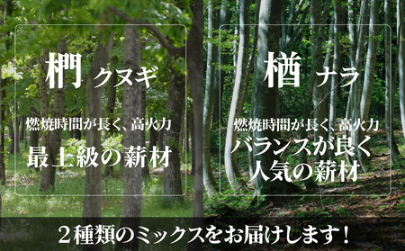 薪 ナラ&クヌギ 約300kg（約20kg×15箱）| 乾燥薪 楢 椚 栃木県 茂木町