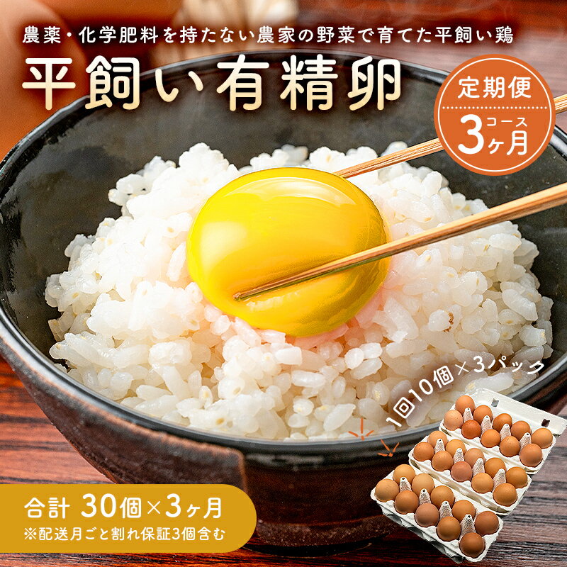 【ふるさと納税】【定期便】有精卵定期便（3か月連続毎月中旬頃お届け：配送月ごと割れ保証3個含む）栽培期間中農薬不使用の野菜で育てた平飼い鶏 千葉県 南房総市 たまご 鶏 食品 国産 お取り寄せ 送料無料