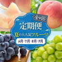 【ふるさと納税】【発送月固定定期便】山梨県産夏の大人気フルーツ【早生桃・桃・巨峰・シャインマスカット】全4回_ もも ぶどう 桃 ブドウ フルーツ 果物 セット 贈答 ギフト プレゼント 送料無料 【2025年先行予約】【配送不可地域：離島・沖縄県】【4012893】