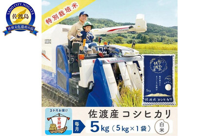 【新米予約 3か月定期便】佐渡島産コシヒカリ 白米5Kg 令和7年 特別栽培米 農家直送