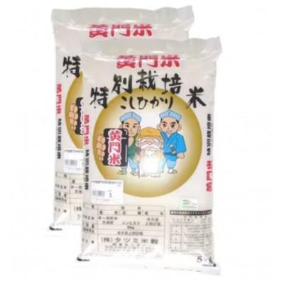 ふるさと納税 常陸太田市 【毎月定期便】黄門米特別栽培米コシヒカリ白米5kg×2袋全6回