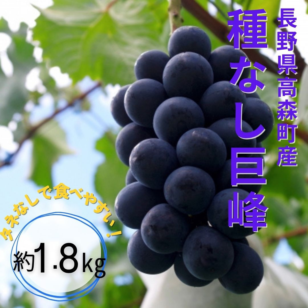 
            【南信州高森産】種なし巨峰約1.8kg＜8月中旬より発送＞
          