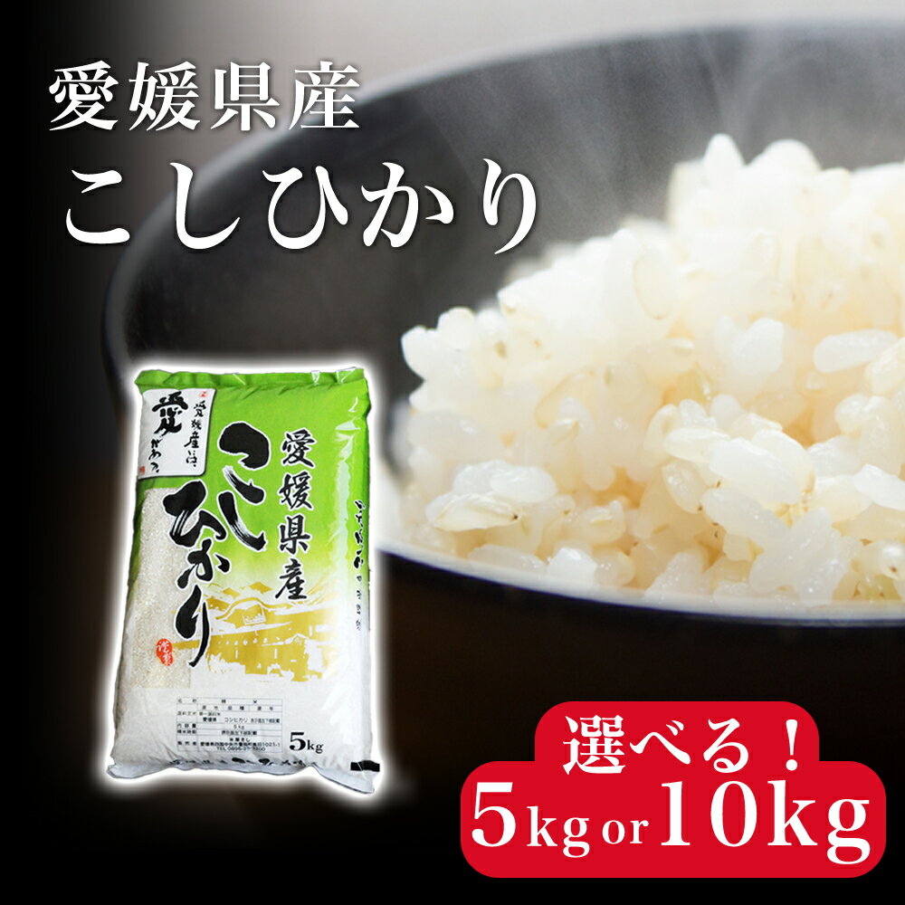 【ふるさと納税】【選べる】 米 こめ お米 おこめ コシヒカリ こしひかり 5kg 10kg 白米 ごはん 四国中央市 愛媛県 おいしい ふっくら 【四国中央市 紙のまち 日本一】