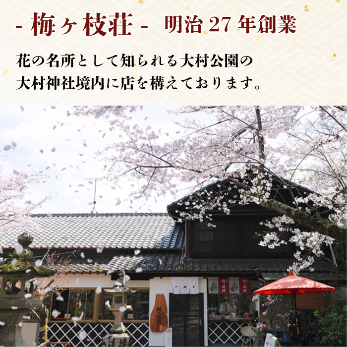 【到着日指定必須】大村寿し 4角×6折　郷土寿し 寿司 郷土料理 長崎県 大村市 有限会社梅ヶ枝荘[ACZS009]_イメージ5