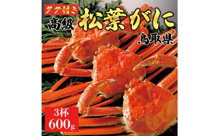 【2025年11月発送】特撰 松葉がに（茹）【ブランドタグ付き】600g超のサイズ  3杯