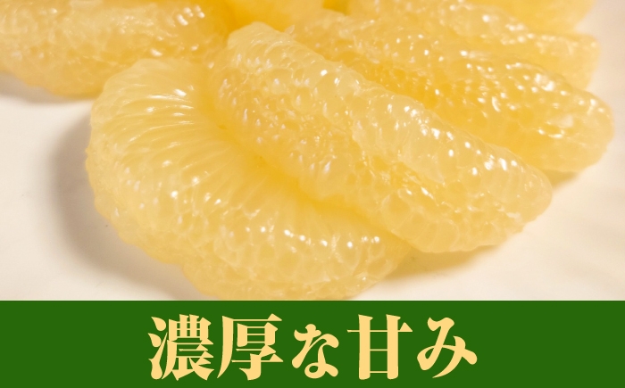 文旦 ぶんたん 土佐 柑橘 高知県産 フルーツ お取り寄せ ギフト 先行予約
