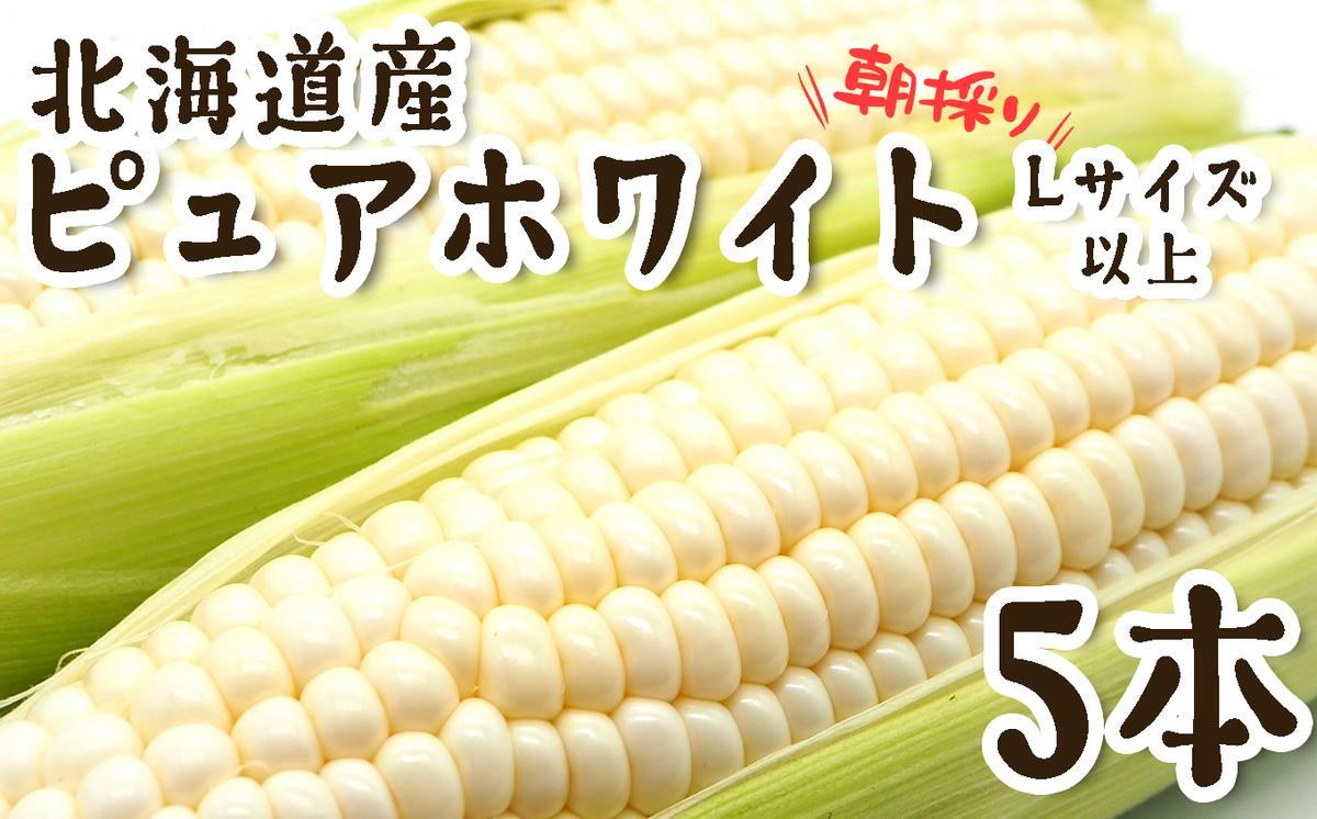 ＜ 10月上旬より発送開始 ＞ 北海道産 白い とうもろこし 5本 Lサイズ 以上 ピュアホワイト 朝採れ とうきび 野菜 新鮮 冷蔵 北海道 新ひだか町 ＜予約受付 ＞