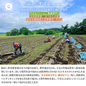 【2025年8月中旬より順次発送開始予定】 オーガニックにんにく 八幡平バイオレット 1kg 混合サイズ（L~3L） ／ にんにく ニンニク ガーリック 大蒜 オーガニック 岩手県産 八幡平市産 産地