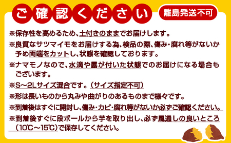 先行受付!【12月お届け】【農家直送】山下農園　熟成紅はるか 5kg_LF-I701-12_(都城市) 都城産 紅はるか S～2Lサイズ混合 山下農園 さつまいも兄弟 長期熟成 甘い