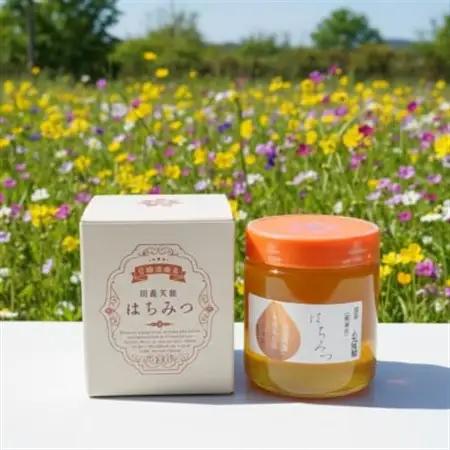 大阪府和泉市　国産天然はちみつ(600g×2)　日蜂協会員　無添加　自家採蜜　大植養蜂園【1680107】