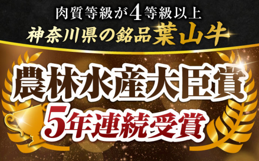 葉山牛 切り落とし300g×3パック 計900g 小分け 牛肉 切り落とし 横須賀 冷凍 【株式会社羽根】 [AKAG002]