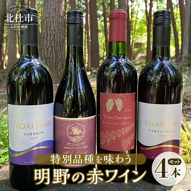 【ふるさと納税】 ワイン セット 赤ワイン 4種類 特別品種 ヤマソーヴィニヨン 志太乃輝 樽発酵 北杜の雫 プティヴェルド シャンクレール 御勅使川ワイナリー モンデ酒造 720ml 750ml 4本セット お酒 アルコール 北杜 明野 ブドウ 送料無料