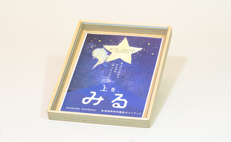 【ウッドデザイン賞受賞】木製書類トレイ　Villa　A4