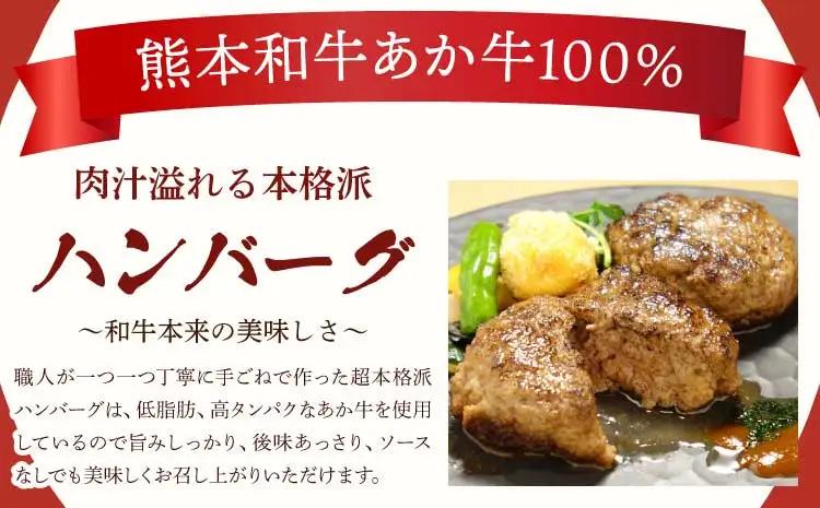 あか牛 100% ハンバーグ(120g×6個)