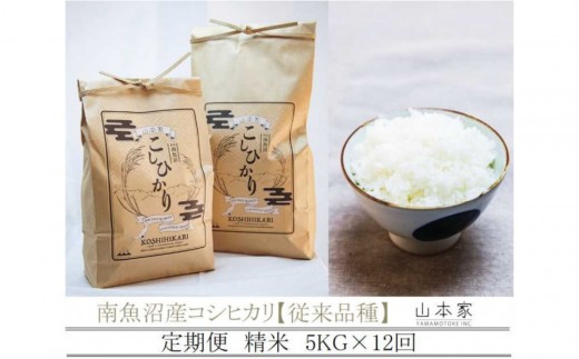 
                  【令和8年産新米予約】【定期便】南魚沼産コシヒカリ【従来品種】精米5kg×12回 山本家【定期便 銘柄米 ブランド米 精米 こしひかり コシヒカリ 魚沼産 新潟米 お米 米】【2026年10月上旬より1ヶ月以内に順次発送予定】
                