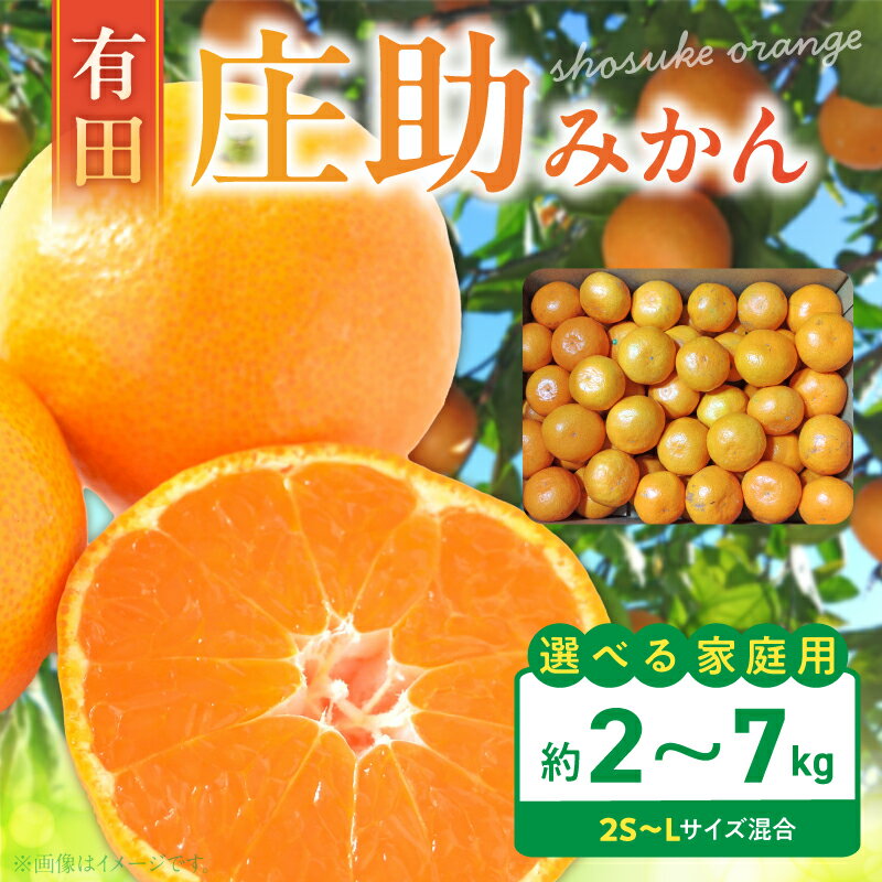 【ふるさと納税】【限定】【2026年先行予約】 期間限定 庄助みかん ご家庭用 選べる 容量 約 2kg ～ 7kg サイズ 混合 2S S M L 産地直送 薄皮 甘い 濃厚 ジューシー 温州みかん 有田みかん 小玉 フルーツ 果実 果物 柑橘 国産 お取り寄せ 和歌山県 湯浅町 送料無料