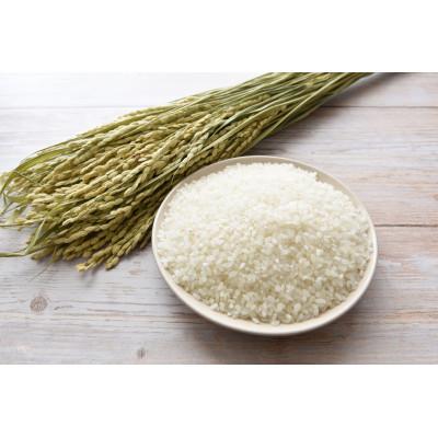 ふるさと納税 美唄市 【特Aランク】令和7年北海道産ゆめぴりか・ななつぼしセット合計10kg(各5kg) |  | 02