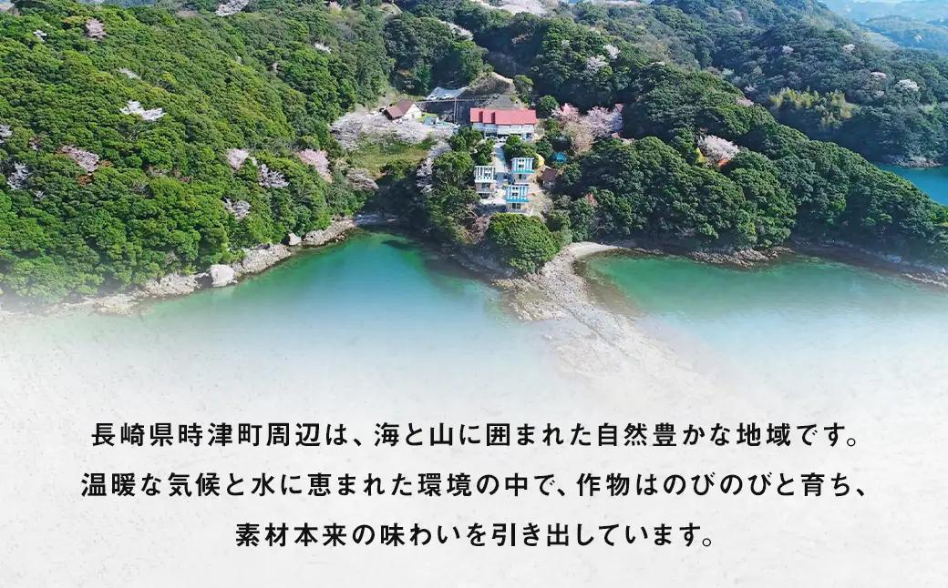 長崎県産 シャインマスカット 約1.2kg ぶどう フルーツ【2026年8月下旬～9月下旬迄発送予定】