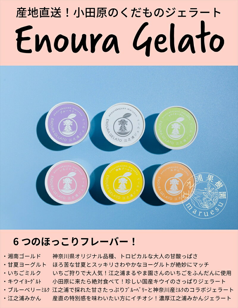 【ふるさと納税】定期便（2カ月ごと全3回）小田原産江之浦ジェラート6種（みかん、湘南ゴールド、ブルーベリーミルク、いちごミルク、キウイヨーグルト、甘夏ヨーグルト）120mlカップ各1個合計6個【 神奈川県 小田原市 】