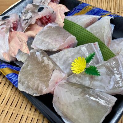 ふるさと納税 南あわじ市 【花光】淡路産カワハギ鍋3人前(ウマヅラ) |  | 02