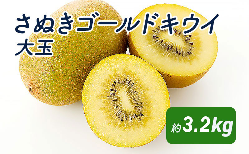 さぬきゴールドキウイ　大玉約3.2kg_キウイフルーツ 果物詰合せ くだもの
