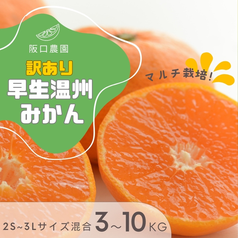 みかん (先行予約) 2S～3L サイズ混合 阪口農園の 訳あり 早生温州みかん (マルチ栽培) 【選べる容量 3kg・5kg・10kg】【2025年12月中旬から順次発送】 / みかん 蜜柑 先行予約 数量限定 ミカン【msa003A-004A-005A】