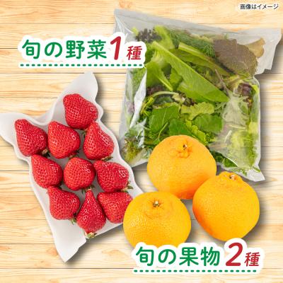 ふるさと納税 糸島市 全12回定期便 糸島産 魚 米 野菜 果物 厳選詰め合わせ MINORI BOX M[AOP026] |  | 03